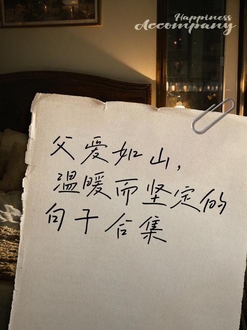 关于父亲的爱的名言，关于父亲的爱的名言警句-图2