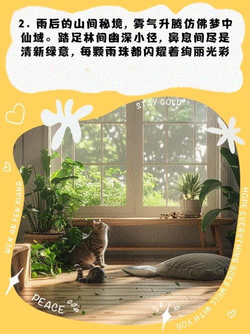 诗歌空气，空气 诗歌-图2