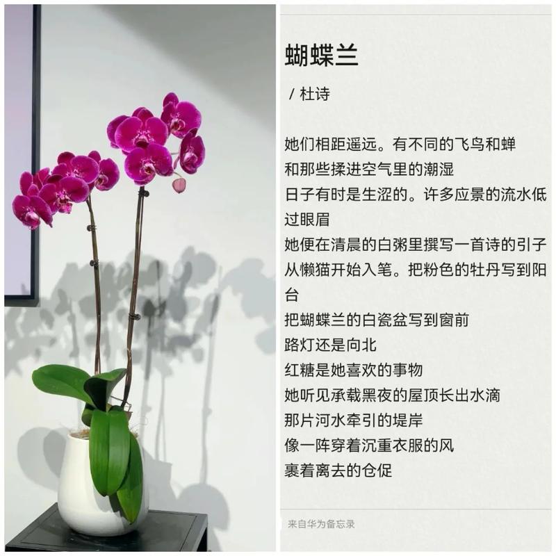 诗歌空气，空气 诗歌-图1