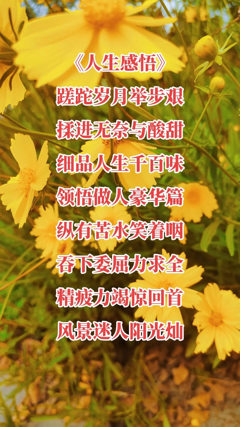 人生的赞美诗歌，藏着怎样的生命回响？-图1