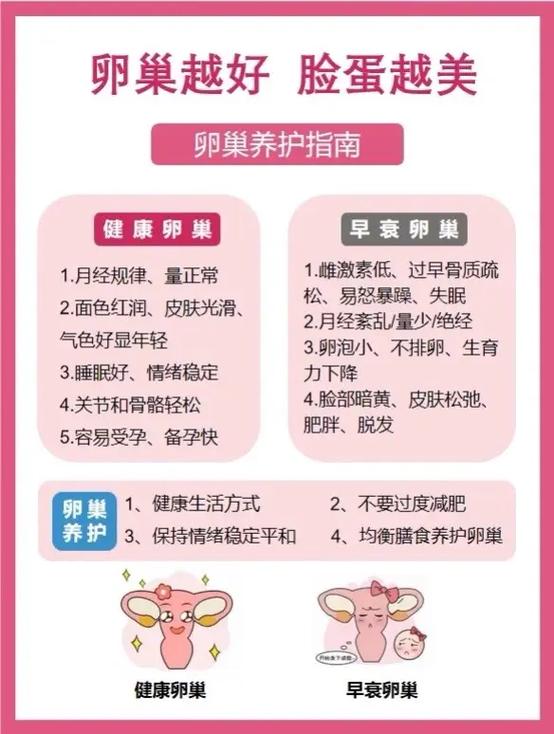 卵巢诗歌，卵巢的故事-图2