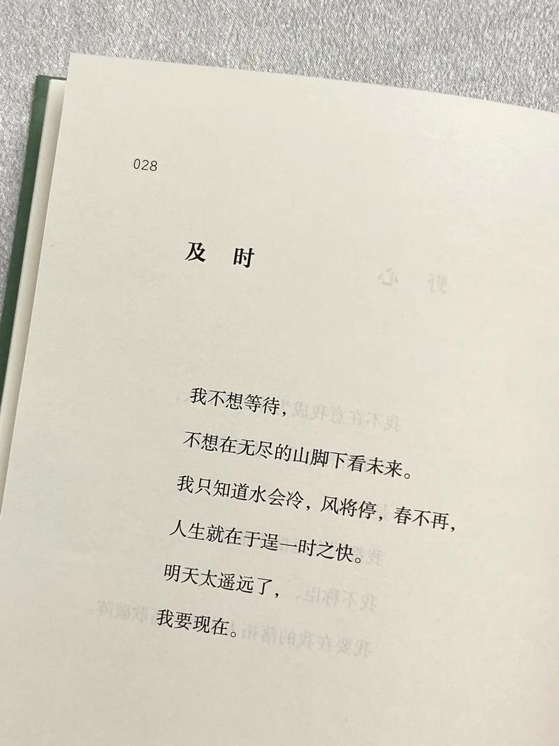 少年的诗歌，有关少年的诗歌-图2