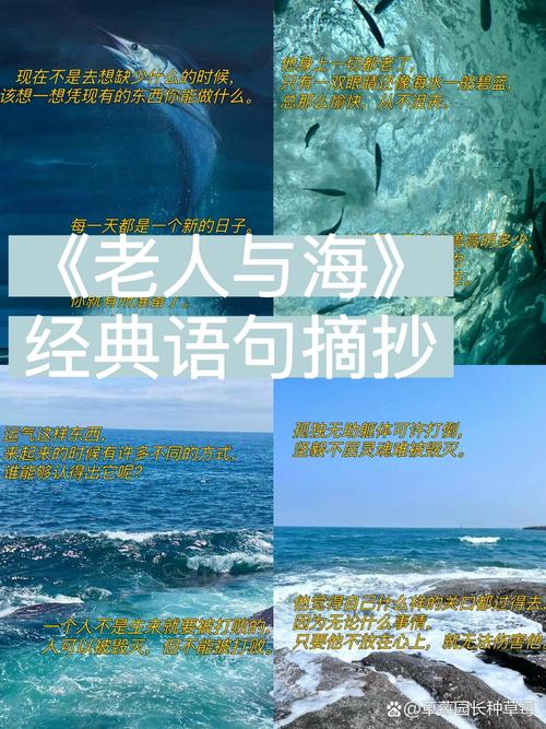 海明威名言老人与海,海明威的名言老人与海-图1 海明威名言老人与海,海明威的名言老人与海-图1