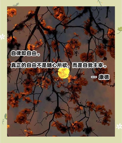 关于追求自由的名言，关于追求自由的名言经典语录-图2