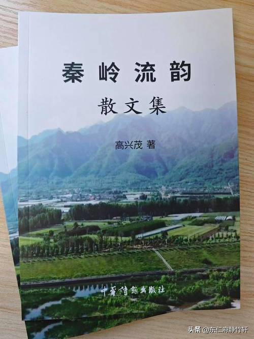 街道如何谱写诗歌的韵脚？-图3