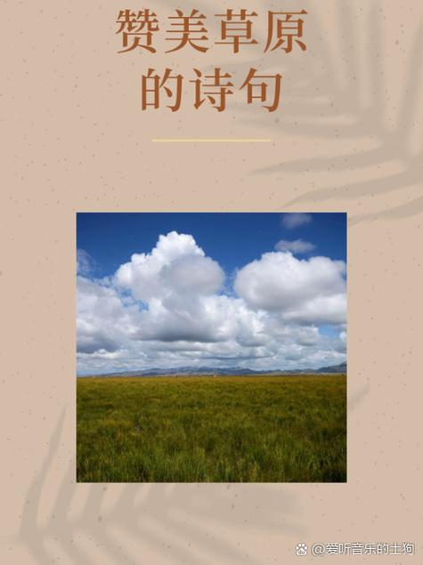 诗歌赞草原,草原的赞美诗-图3 诗歌赞草原,草原的赞美诗-图3