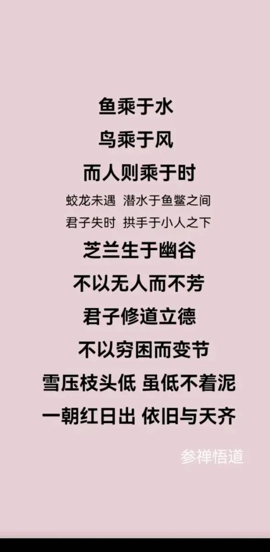 蝼蚁名人名言，蝼蚁名人名言大全-图3