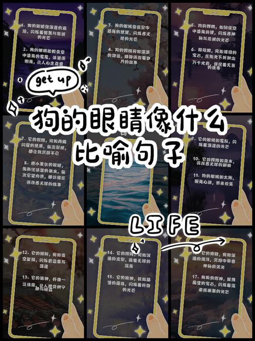 眼神名言，眼神名言名句-图3