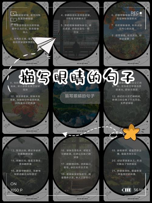 眼神名言，眼神名言名句-图2