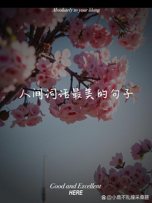 人间花名言，人间花语-图1