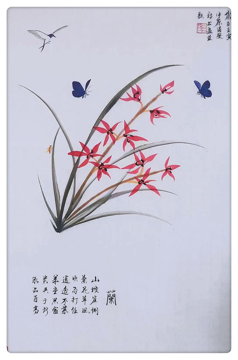 兰花自作诗歌，兰花自作诗歌怎么写-图2