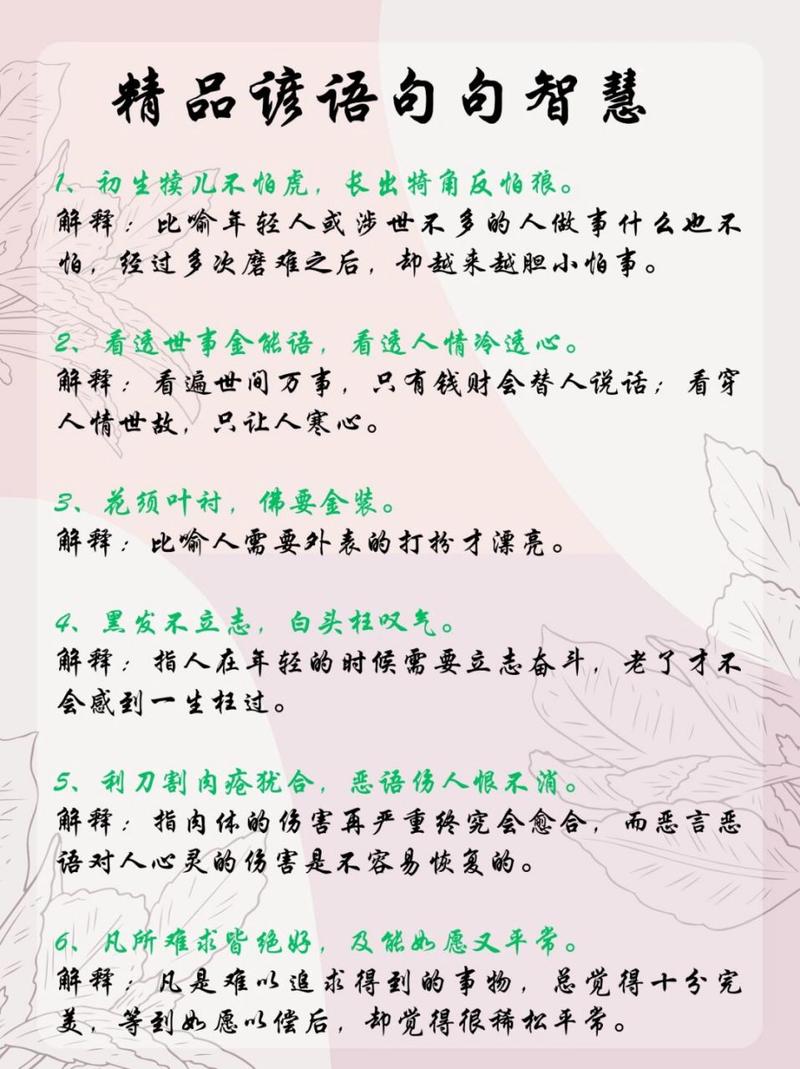 名言及解释，名言及解释100句-图3