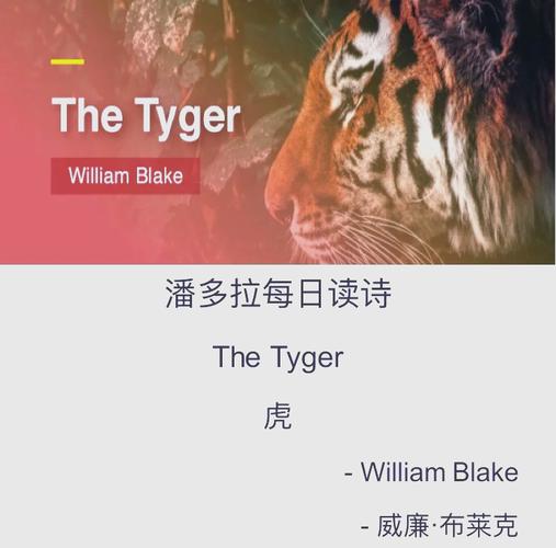 老虎诗歌暗藏何种深意?-图2 老虎诗歌暗藏何种深意?-图2