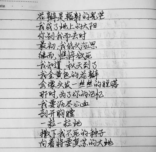 向日葵的诗歌藏着怎样的心事?-图1 向日葵的诗歌藏着怎样的心事?-图1