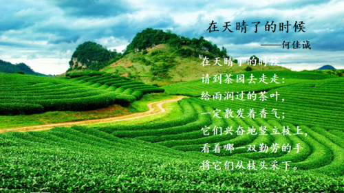 诗歌 绿色的世界，诗歌绿色的世界-图3