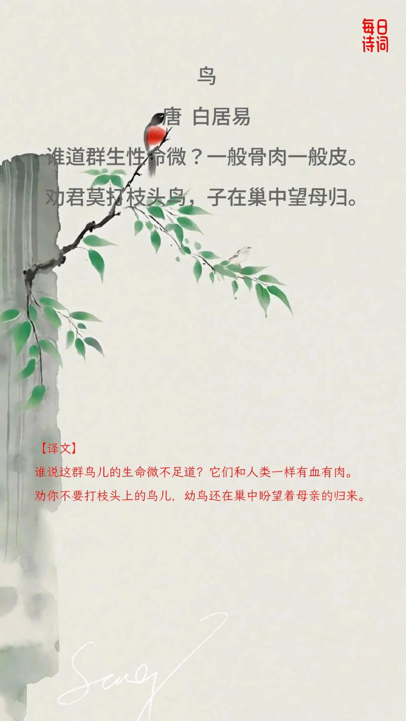 诗歌中的鸟，是飞动的诗眼还是灵魂的回响？-图3