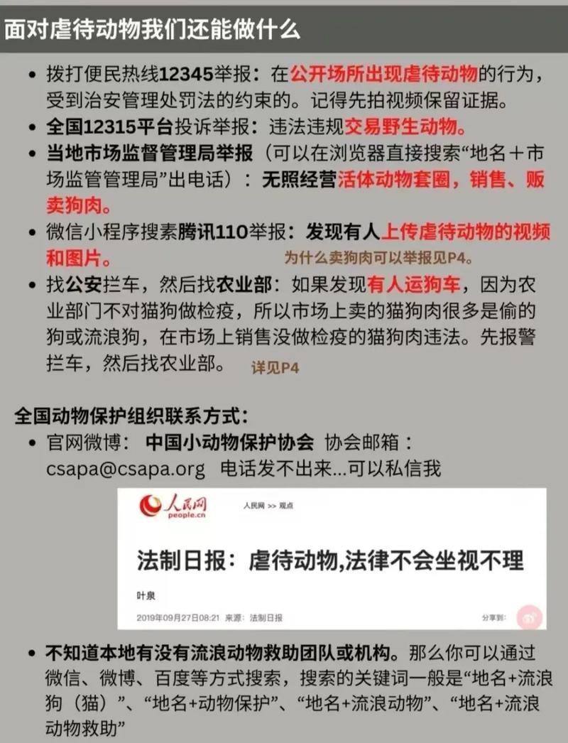 尊重动物生命的名言,尊重动物生命的名言警句-图3 尊重动物生命的名言,尊重动物生命的名言警句-图3