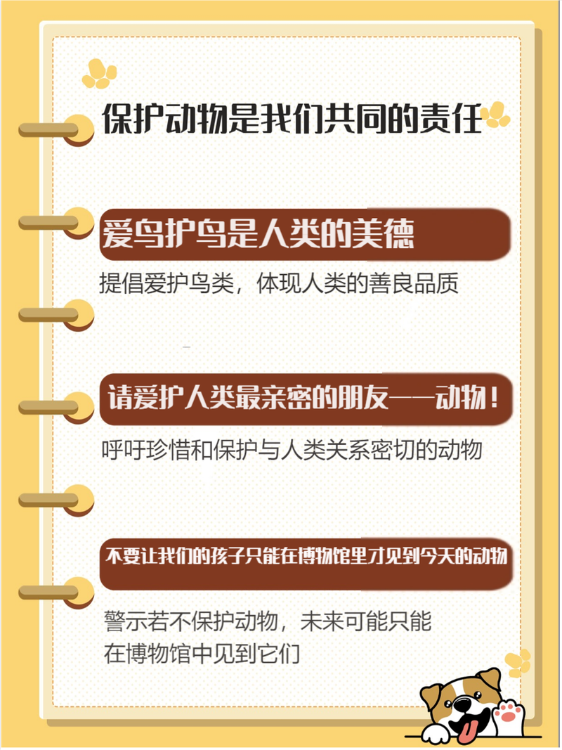 尊重动物生命的名言,尊重动物生命的名言警句-图1 尊重动物生命的名言,尊重动物生命的名言警句-图1