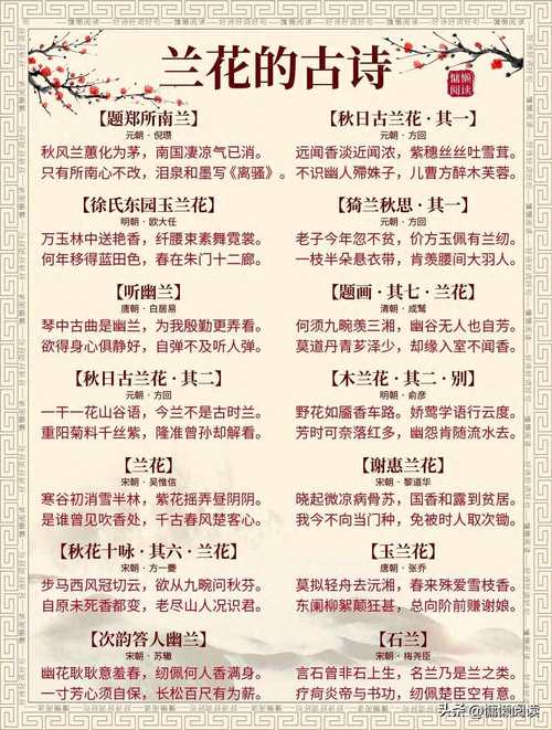 兰花名言，兰花名言诗句-图2