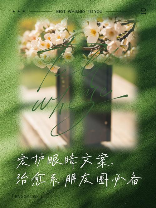 护眼名言有哪些实用价值？-图2