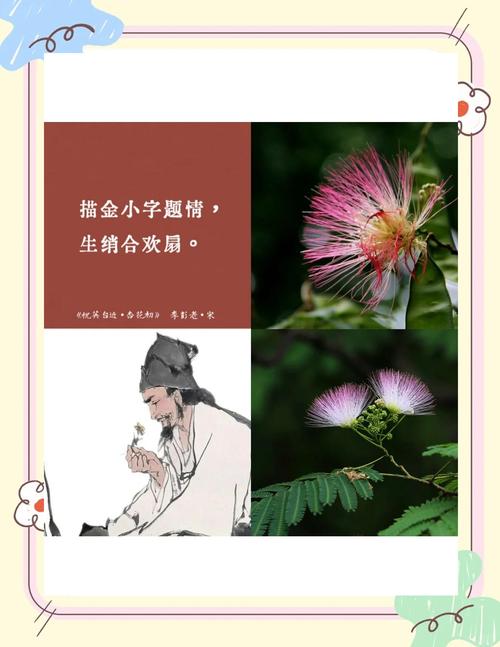 合欢花诗歌，合欢花诗歌大全-图2