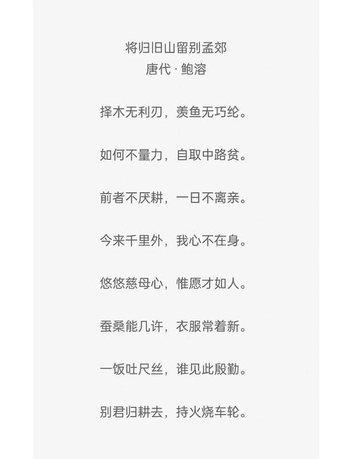 妈妈的 诗歌，描写妈妈的诗歌-图3