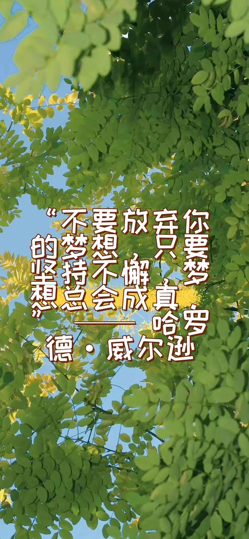 跟梦想有关的名言,跟梦想有关的名言警句-图2 跟梦想有关的名言,跟梦想有关的名言警句-图2