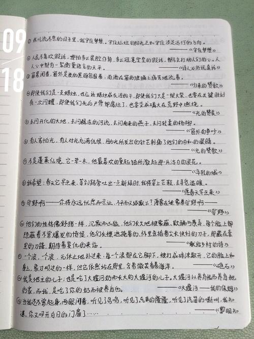 描写诗歌的句子,描写诗歌的句子摘抄大全-图2 描写诗歌的句子,描写诗歌的句子摘抄大全-图2