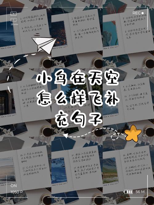 小乌名言,小鸟的名言名句-图3 小乌名言,小鸟的名言名句-图3