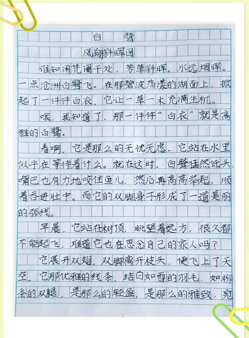 白鹭诗歌,飞鸟的诗意栖居在何方?-图2 白鹭诗歌,飞鸟的诗意栖居在何方?-图2