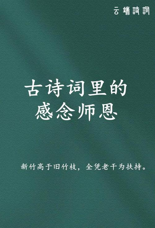 老师 诗歌，感恩老师诗歌-图3