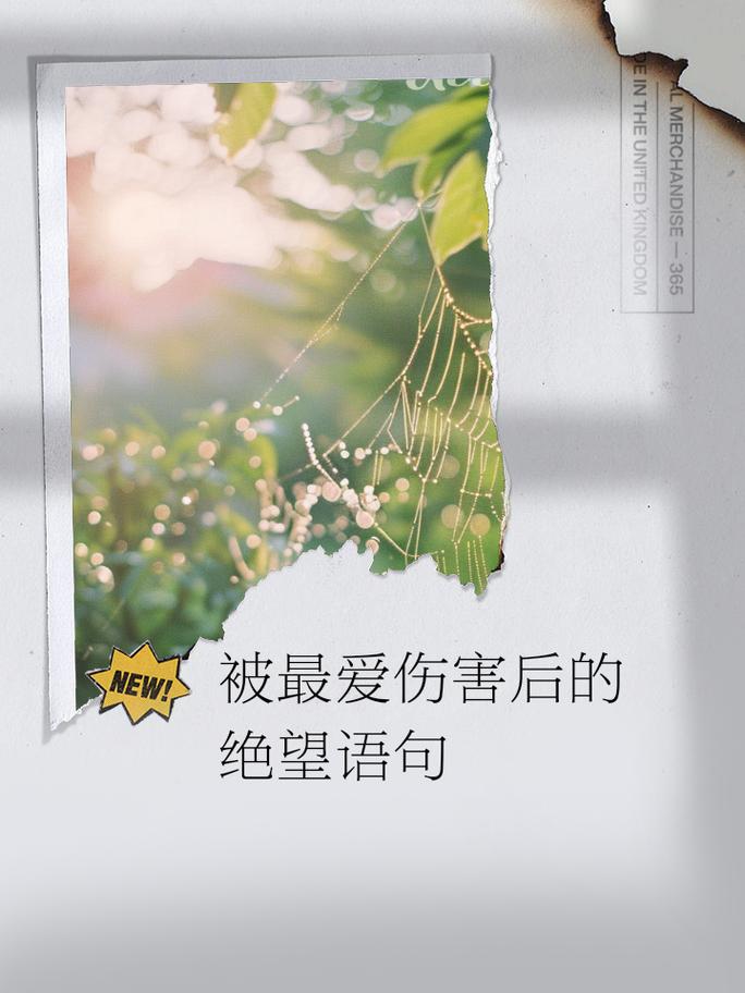 伤害 名言,伤害名言名句-图1 伤害 名言,伤害名言名句-图1