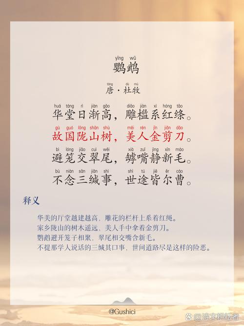 鸟的诗里藏着怎样的天空与啼鸣?-图2 鸟的诗里藏着怎样的天空与啼鸣?-图2