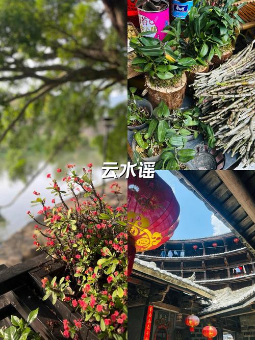 云水谣 诗歌，云水谣》-图3