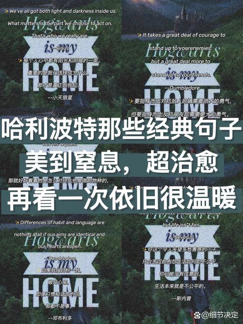 哈利说名言,哈利说过的经典语录-图3 哈利说名言,哈利说过的经典语录-图3