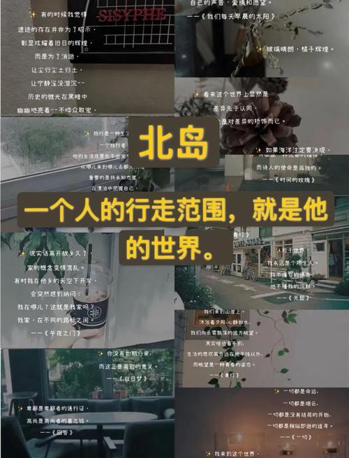 陌生人诗歌，陌生人诗歌北岛-图2