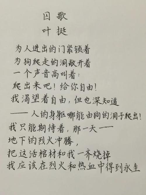 火烈鸟诗歌，火烈鸟的诗歌-图2