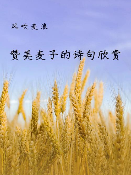 麦收诗歌，麦收诗歌有哪些-图2