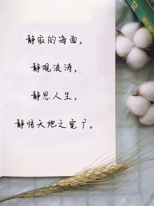 静的名言，藏着怎样的人生智慧？-图3