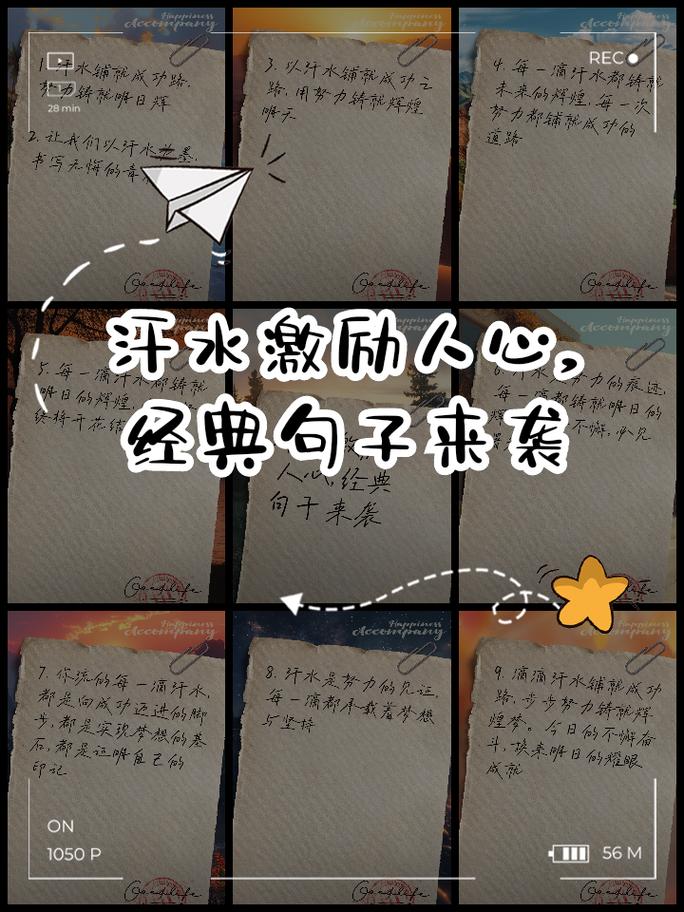 滴自己的汗名言，滴自己的汗是谁说的话-图1