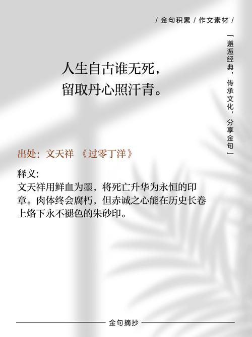 关于生死的名言名句，关于生死的名言名句诗句-图3