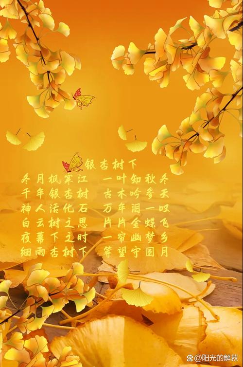 名言赞美，银杏果的诗句或名言赞美-图2