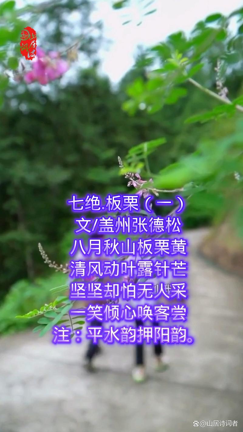 栗子诗歌，栗子的诗歌-图1