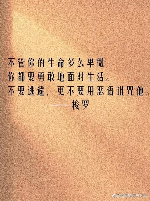 名言 结果,结果名言警句-图3 名言 结果,结果名言警句-图3