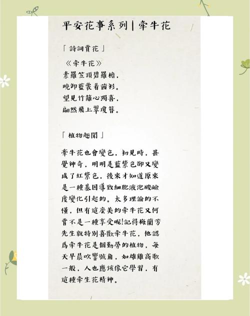 关于花现代诗歌，关于花现代诗歌大全-图1
