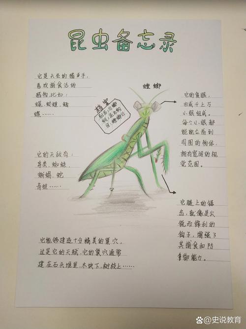 昆虫名言,昆虫名言10个-图1 昆虫名言,昆虫名言10个-图1