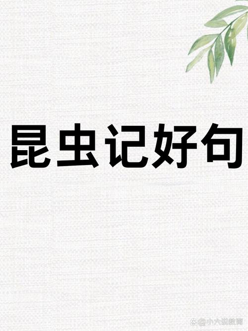 昆虫名言,昆虫名言10个-图3 昆虫名言,昆虫名言10个-图3
