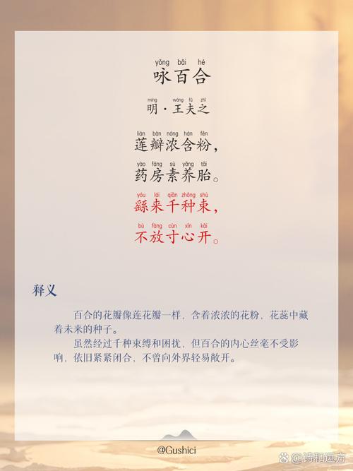 百合 诗歌-图1