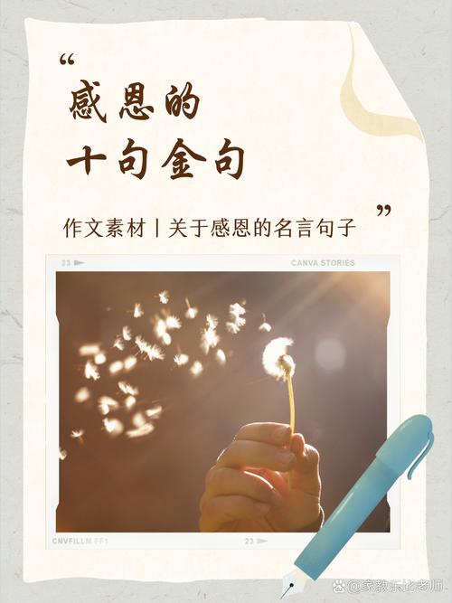 学会感恩的名言，学会感恩的名言有哪些-图1