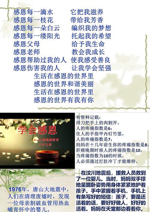 学会感恩的名言，学会感恩的名言有哪些-图2